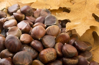 吃板栗上火嗎？板栗吃多了會上火嗎？