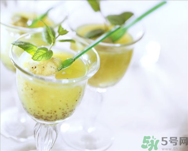 哈密瓜榨汁要加水嗎？哈密瓜榨汁搭配什么？