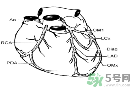 長期酗酒會引起心絞痛嗎？引起心絞痛的原因有哪些？