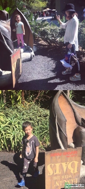 王寶強老婆馬蓉在美國嗎？婚姻中攜款逃跑受什么處罰？