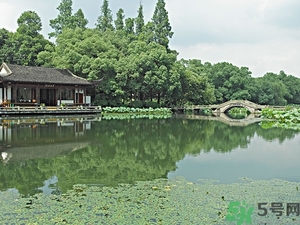 菱角是什么？菱角是什么季節(jié)成熟的？