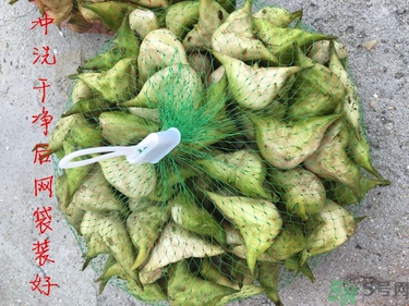 菱角和豬肉能一起吃嗎？菱角和什么不能一起吃？