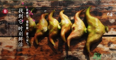 菱角和豬肉能一起吃嗎？菱角和什么不能一起吃？