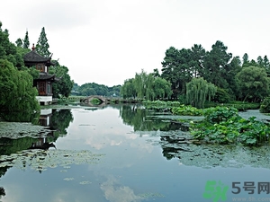 菱角是什么？菱角是什么季節(jié)成熟的？