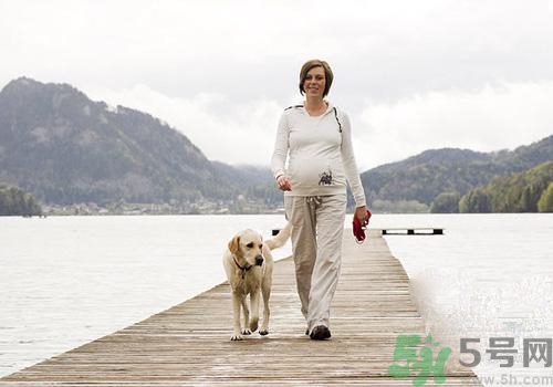 孕婦可以和狗狗在一起嗎？孕婦和狗狗接觸好不好？