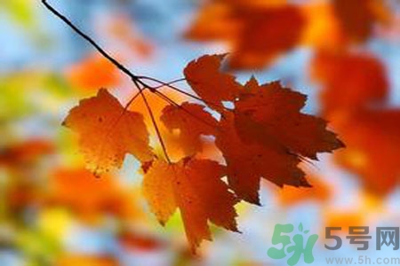 秋燥的表現(xiàn)是什么？小孩如何預(yù)防秋燥？