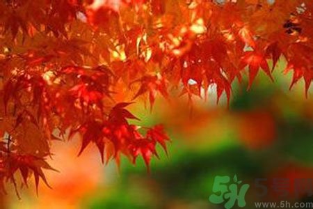 女性秋季防燥需注意哪些？女性秋季防燥吃什么？