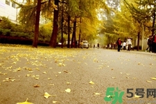 立秋潤(rùn)肺可以吃什么食物？秋天潤(rùn)肺可以吃的水果有哪些？