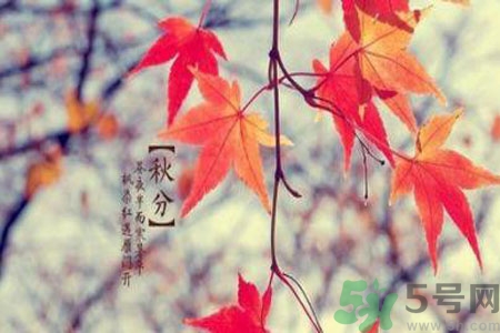 立秋潤肺可以吃什么食物？秋天潤肺可以吃的水果有哪些？