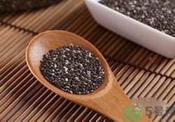 奇亞籽是什么？奇亞籽的功效作用