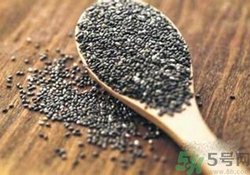 奇亞籽是什么？奇亞籽的功效作用