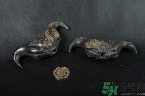 菱角可以放多久?菱角可以放冰箱保存嗎