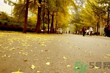 秋燥是什么？秋燥怎么辦？