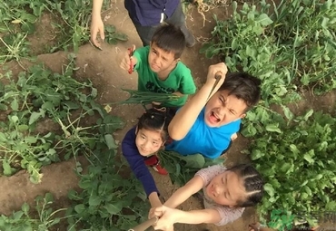 口吃怎么克服？口吃和舌頭有關(guān)系嗎？