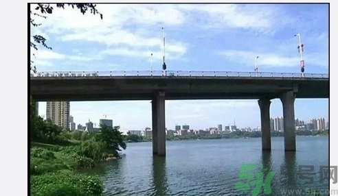 從多高的地方跳水會(huì)受傷？從多高的地方跳水會(huì)死亡？