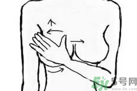 乳腺增生可以懷孕嗎？如何預防乳腺增生？