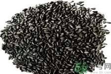 黑芝麻可以豐胸嗎？黑芝麻能不能豐胸？