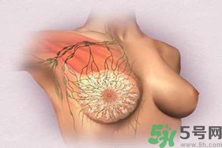 乳頭發(fā)黑怎么辦？怎么樣可以使乳頭變白？