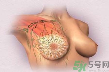 乳頭發(fā)黑是怎么回事？乳頭發(fā)黑是什么原因？