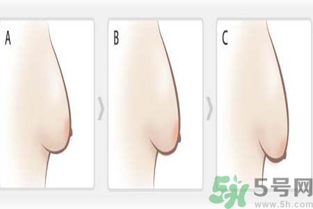 如何預(yù)防胸部松弛？吃什么能使胸部挺拔？