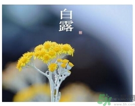 白露身不露是什么意思？白露還熱嗎？