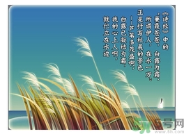 白露喝什么茶？白露養(yǎng)生茶飲推薦