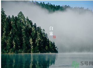 白露喝什么茶？白露養(yǎng)生茶飲推薦