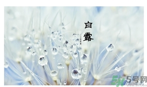 白露吃什么好？白露食療