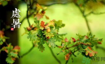 處暑如何養(yǎng)生？處暑養(yǎng)生要注意什么？