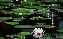 處暑如何養(yǎng)生？處暑養(yǎng)生要注意什么？