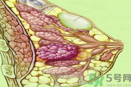 乳房屋硬塊有疼痛感怎么回事？乳房屋硬塊有疼痛感怎么辦？