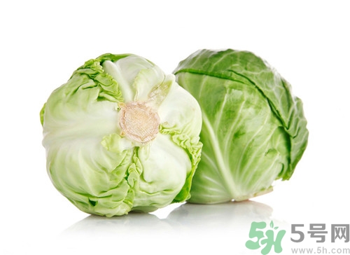 吃包菜會(huì)胖嗎?包菜的熱量是多少 吃包菜會(huì)胖嗎?包菜的熱量是多少