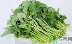 吃莧菜會長胖嗎?野莧菜的熱量高嗎 吃莧菜會長胖嗎?野莧菜的熱量高嗎