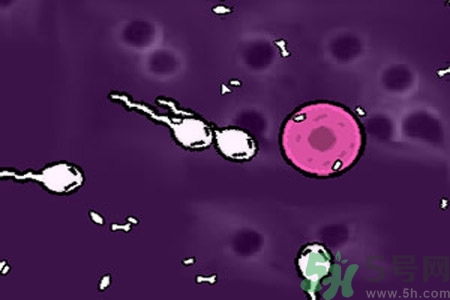 如何選擇最佳避孕方式？20歲女生的避孕常識(shí)有哪些？