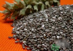 孕婦可以吃奇亞籽嗎？孕婦吃多少奇亞籽比較好？