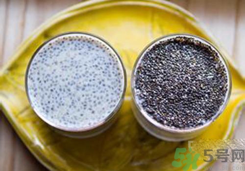 孕婦可以吃奇亞籽嗎？孕婦吃多少奇亞籽比較好？