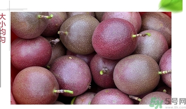 雞蛋果的功效作用 雞蛋果的營養(yǎng)價(jià)值食用禁忌 雞蛋果的功效作用 雞蛋果的營養(yǎng)價(jià)值食用禁忌