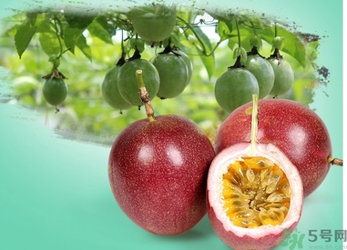 雞蛋果的功效作用 雞蛋果的營養(yǎng)價(jià)值食用禁忌 雞蛋果的功效作用 雞蛋果的營養(yǎng)價(jià)值食用禁忌