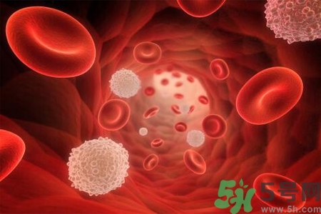 陰道出血和什么有關(guān)？陰道出血的應急措施有哪些？