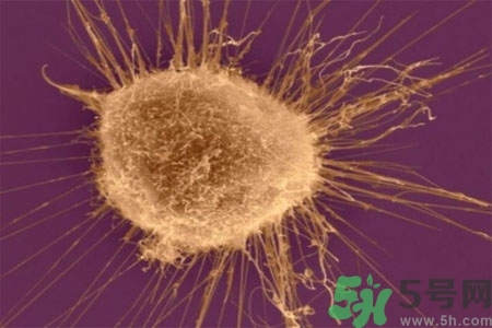 陰道干澀是什么？陰道干澀的危害有什么？