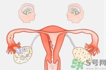 陰道干澀的原因是什么？陰道干澀怎么辦？