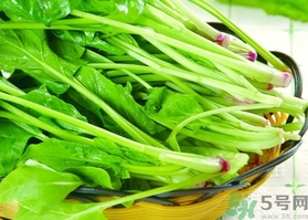 菠菜的營養(yǎng)價值 菠菜的功效與作用及食用方法