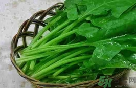 菠菜的營養(yǎng)價值 菠菜的功效與作用及食用方法