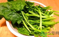 菠菜的營養(yǎng)價值 菠菜的功效與作用及食用方法