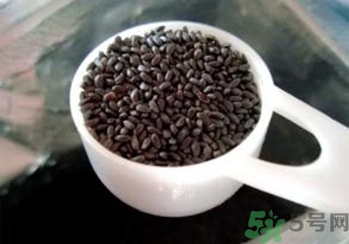 蘭香子的功效作用 蘭香子的營(yíng)養(yǎng)價(jià)值和食用禁忌 蘭香子的功效作用 蘭香子的營(yíng)養(yǎng)價(jià)值和食用禁忌