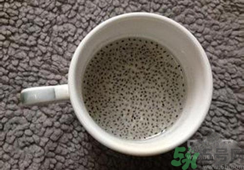 蘭香子的功效作用 蘭香子的營(yíng)養(yǎng)價(jià)值和食用禁忌 蘭香子的功效作用 蘭香子的營(yíng)養(yǎng)價(jià)值和食用禁忌