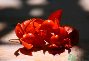 紅姑娘怎么吃？紅姑娘怎么保存？