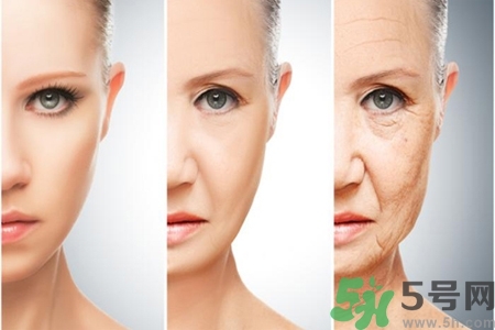 加速衰老的原因有哪些？人體衰老過程的變化是什么？