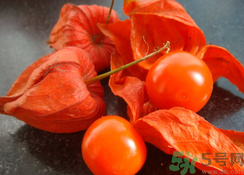 紅姑娘泡水喝可以治什么??？紅姑娘泡水喝的功效與作用