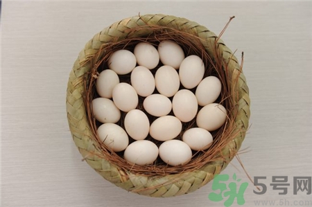 鴿子蛋可以和雞蛋一起吃嗎?鴿子蛋雞蛋哪個(gè)有營養(yǎng)?